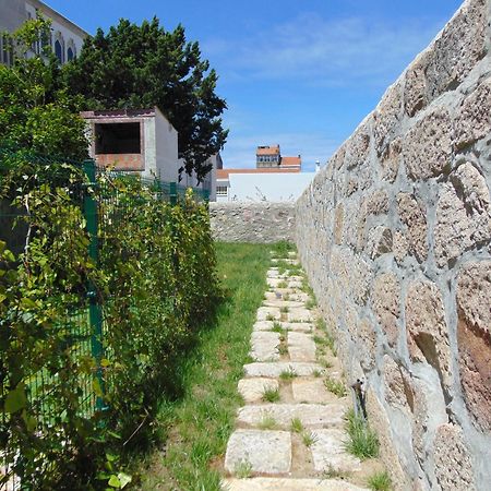 Liiiving In Porto | Central Garden Flat المظهر الخارجي الصورة